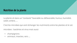 Nutrition de la plante
La plante vit dans un “contexte” favorable ou défavorable, humus, humidité,
soleil, ombre, ...
C’est les microbes qui vont échanger les nutriments entre les plantes et le sol.
microbes : bactéries et virus mais aussi
+ champignons
+ animaux, insectes, vers ...
 