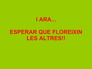 I ARA... ESPERAR QUE FLOREIXIN LES ALTRES!! 