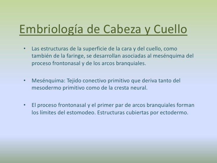 Embriología de cabeza y cuello FonoUNC