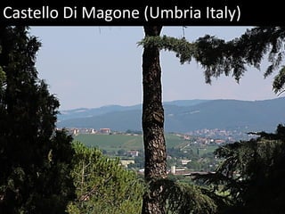 Castello Di Magone (Umbria Italy)
 