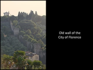 Old wall of the
City of Florence
 