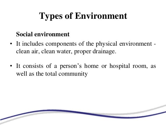 florence nightingale s environmental theory college paper service florence nightingale theory