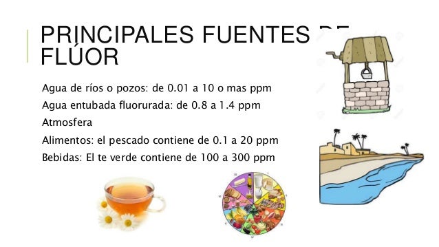 alimentos que contienen fluor fl 250 or en la naturaleza alimentos que contienen fluor fl 250 or en la naturaleza