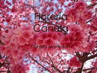Florería 
Canela 
Florería Canela 
Daniela Marroquín Luna 
10-1 
Daniela Marroquín 
 
