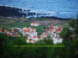 FAJÃ GRANDE FLORES VISTA DA SUBIADA DA ROCHA 