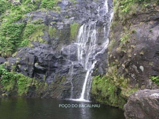 POÇO DO BACALHAU 