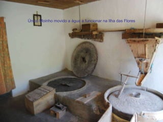 Único Moinho movido a água a funcionar na Ilha das Flores 