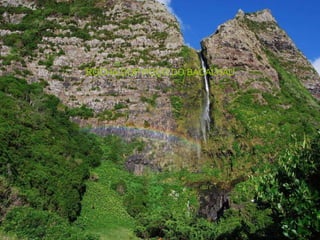 ROCHA DOP POÇO DO BACALHAU 