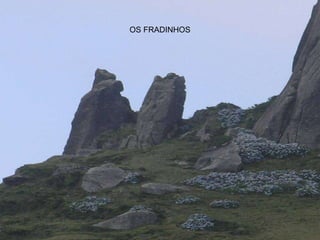 OS FRADINHOS 