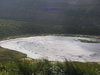 LAGOA BRANCA 