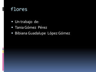 flores Un trabajo  de: Tania Gómez  Pérez    Bibiana Guadalupe  López Gómez 
