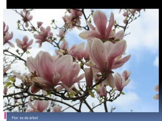 Este flor esta bien  bonita