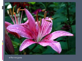 Porque quisimos hacer esta presentación.Por   que  me  gusta   las   flores     y   su  aromasY   su    colores  y  por su formas  bonitas