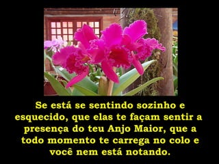 Se está se sentindo sozinho e esquecido, que elas te façam sentir a  presença do teu Anjo Maior, que a todo momento te carrega no colo e você nem está notando. 