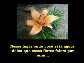 Nesse lugar onde você está agora, deixa que essas flores falem por mim... 