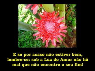 E se por acaso não estiver bem, lembre-se: sob a Luz do Amor não há mal que não encontre o seu fim! 