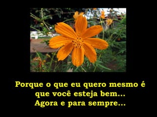 Porque o que eu quero mesmo é que você esteja bem... Agora e para sempre... 