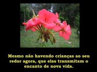Mesmo não havendo crianças ao seu redor agora, que elas transmitam o encanto de nova vida. 