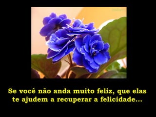 Se você não anda muito feliz, que elas te ajudem a recuperar a felicidade... 