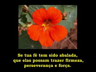 Se tua fé tem sido abalada, que elas possam trazer firmeza, perseverança e força. 