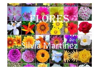FLORES

Silvia Martínez
 