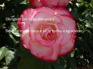 Obrigado por tudo AlexandraDevo-te muita coisa e só te tenho a agradecer