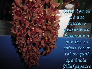 Coisa boa ou má não existe; o pensamento humano é o que faz as coisas terem tal ou qual aparência. (Shakespeare) 