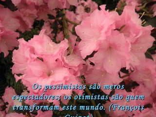 Os pessimistas são meros espectadores; os otimistas são quem transformam este mundo. (François Guizot) 