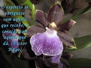 O espírito se enriquece com aquilo que recebe; o coração com aquilo que dá. (Victor Hugo) 