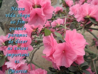Nossa vida chega ao fim quando paramos de dizer as coisas importantes. (Martin L. King) 