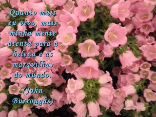 Quanto mais eu vivo, mais minha mente atenta para a beleza e as maravilhas do mundo. (John Burroughs) 