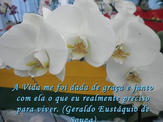 A Vida me foi dada de graça e junto com ela o que eu realmente preciso para viver. (Geraldo Eustáquio de Souza) 