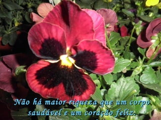 Não há maior riqueza que um corpo saudável e um coração feliz. (provérbio chinês) 