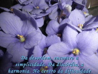 Da desordem, encontro a simplicidade. Da discórdia, a harmonia. No centro da dificuldade repousa a oportunidade. (Einstein) 