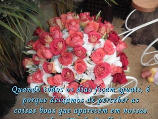 Quando todos os dias ficam iguais, é porque deixamos de perceber as coisas boas que aparecem em nossas vidas. (Paulo Coelho) 