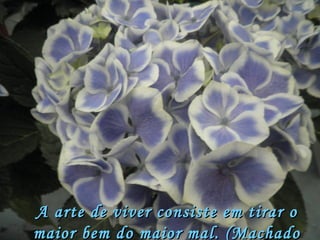 A arte de viver consiste em tirar o maior bem do maior mal. (Machado de Assis) 