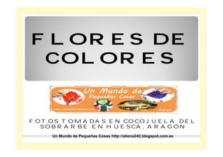 FLORES DE
 COLORES


FOTOS TOMADAS EN COCOJUELA DEL
  SOBRARBE EN HUESCA, ARAGÓN
    Un Mundo de Pequeñas Cosas http://aliena242.blogspot.com.es
 
