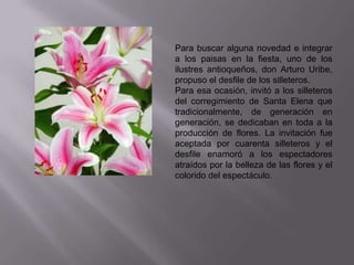 Para buscar alguna novedad e integrar
a los paisas en la fiesta, uno de los
ilustres antioqueños, don Arturo Uribe,
propuso el desfile de los silleteros.
Para esa ocasión, invitó a los silleteros
del corregimiento de Santa Elena que
tradicionalmente, de generación en
generación, se dedicaban en toda a la
producción de flores. La invitación fue
aceptada por cuarenta silleteros y el
desfile enamoró a los espectadores
atraídos por la belleza de las flores y el
colorido del espectáculo.
 