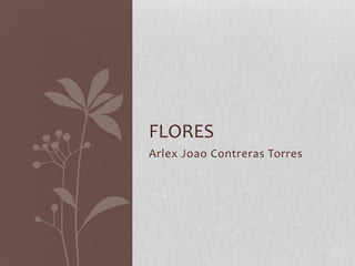 FLORES
Arlex Joao Contreras Torres
 