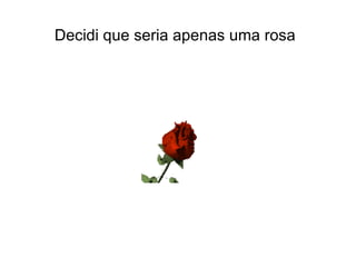 Decidi que seria apenas uma rosa   