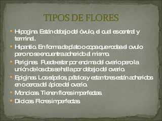 Hipogina. Están debajo del óvulo, el cual es central y terminal. Hipantio. En forma de plato o copa que rodea el ovulo pero no se encuentra adherido al mismo. Periginas.  Puede estar por encima del ovario pero la unión de los dos se halla por debajo del ovario.  Epiginas. Los sépalos, pétalos y estambres están adheridos en o cerca del ápice del ovario.  Monoicas. Tienen flores imperfectas. Dioicas. Flores imperfectas. 