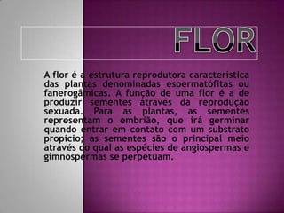 A flor é a estrutura reprodutora característica
das plantas denominadas espermatófitas ou
fanerogâmicas. A função de uma flor é a de
produzir sementes através da reprodução
sexuada. Para as plantas, as sementes
representam o embrião, que irá germinar
quando entrar em contato com um substrato
propício; as sementes são o principal meio
através do qual as espécies de angiospermas e
gimnospermas se perpetuam.
 