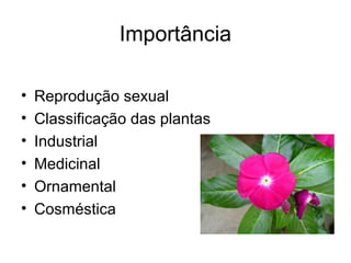 Importância
• Reprodução sexual
• Classificação das plantas
• Industrial
• Medicinal
• Ornamental
• Cosméstica
 