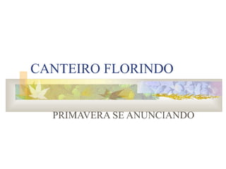 CANTEIRO FLORINDO
PRIMAVERA SE ANUNCIANDO
 