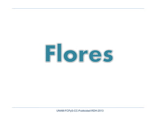 UNAM-FCPyS-CC-Publicidad-RDH-2013
 