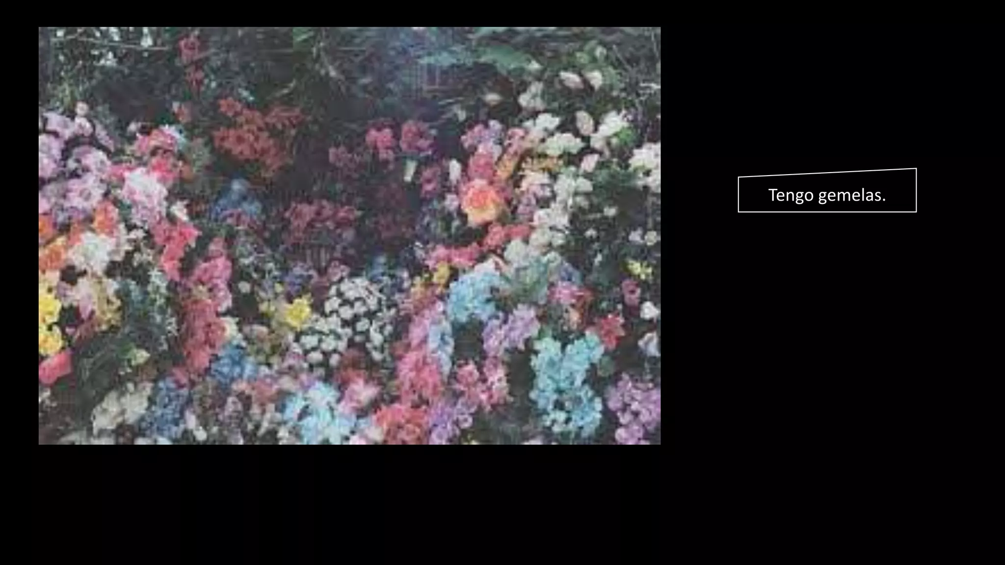 Tengo gemelas.