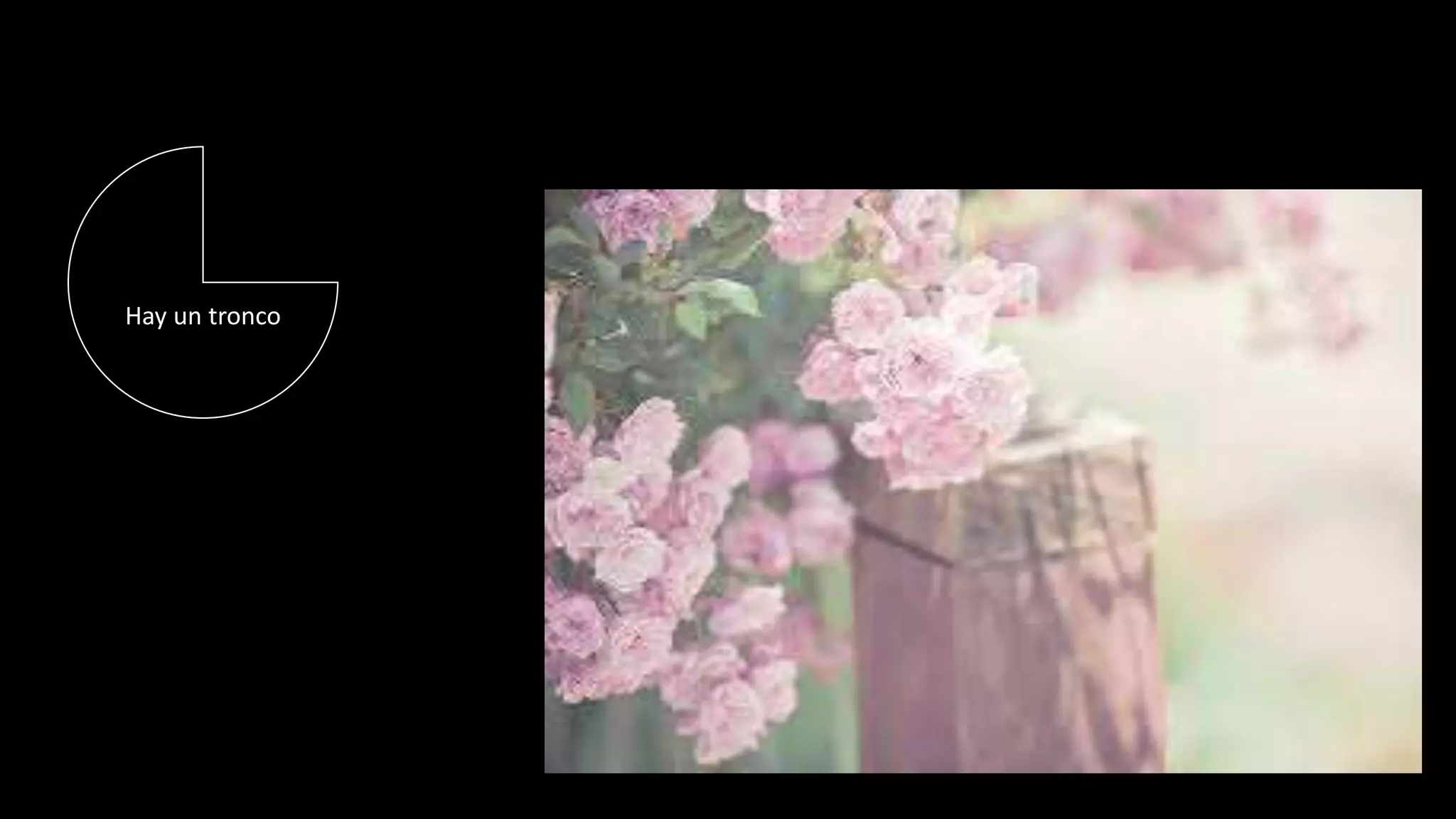 Hay un tronco