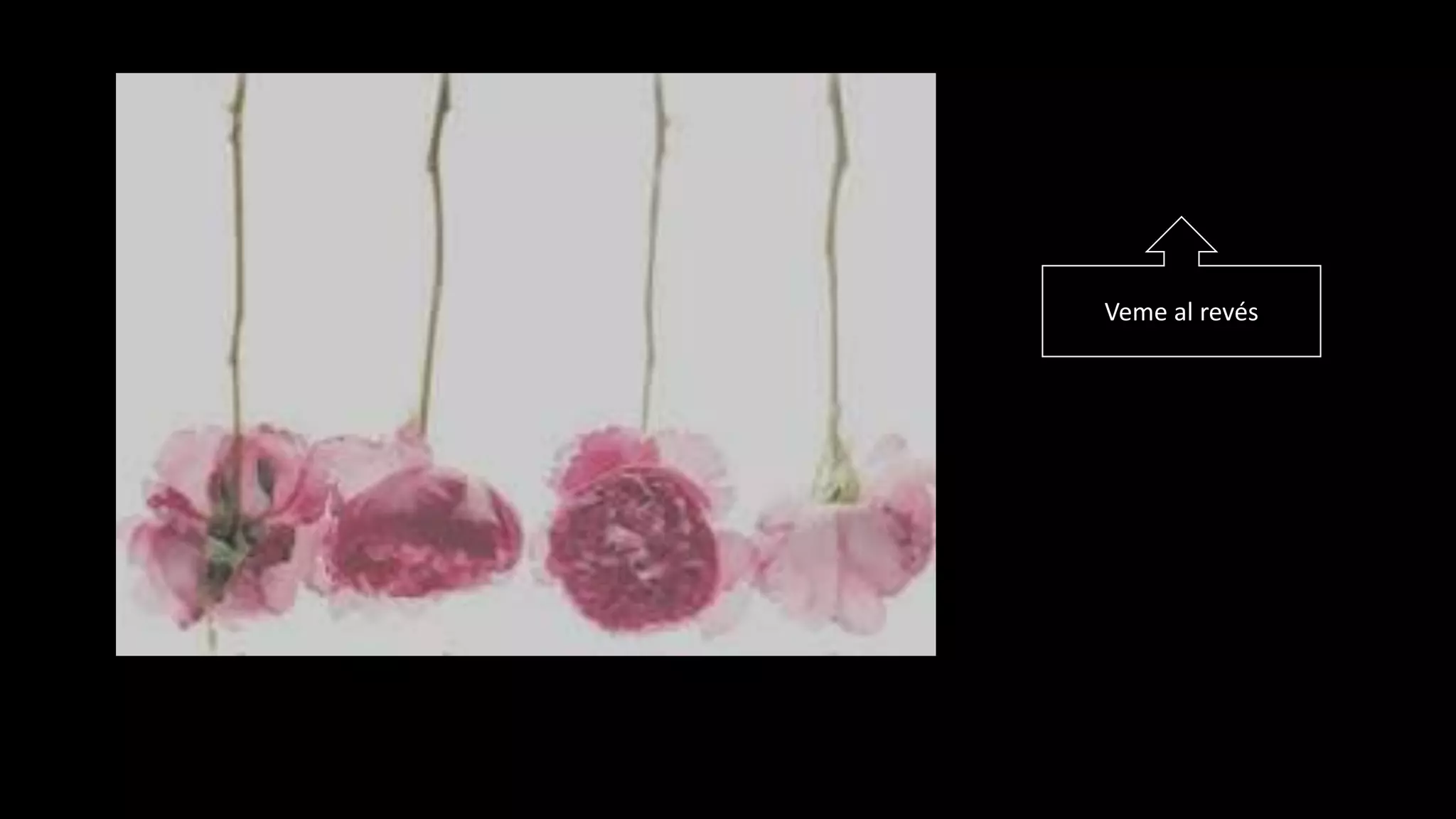 Veme al revés