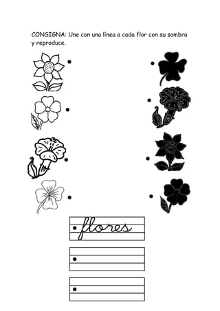 CONSIGNA: Une con una línea a cada flor con su sombra
y reproduce.
 