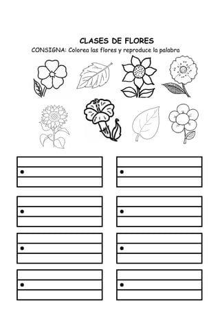 CLASES DE FLORES
CONSIGNA: Colorea las flores y reproduce la palabra
 